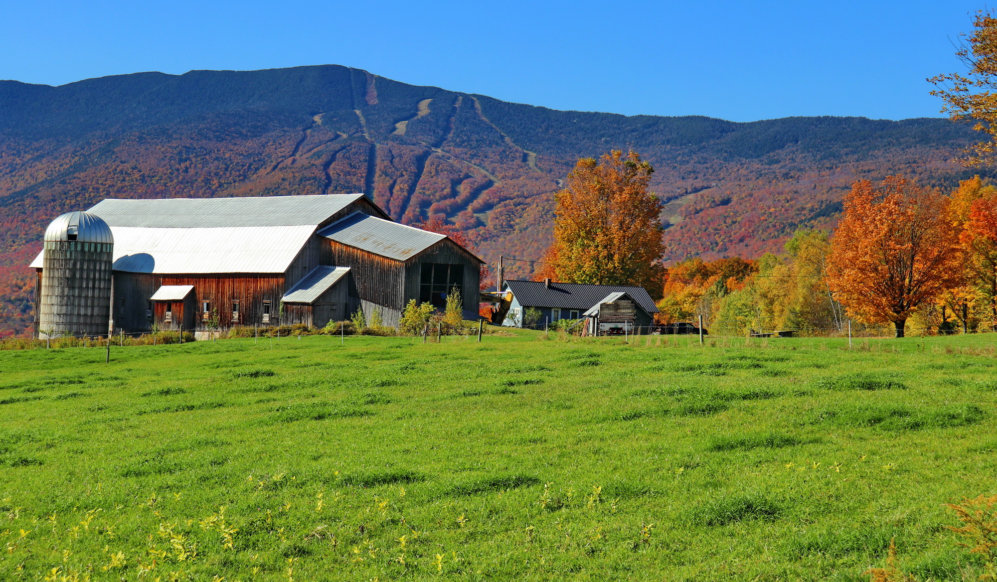 Reader submitted foliage photo of Ploughgate Farm from Jim Roettger.